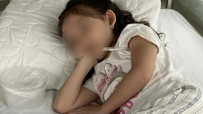 바게트 먹고 식중독 의심…학생 65명 구토·설사