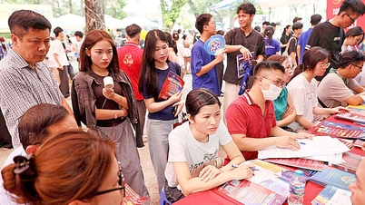 ឱកាសល្អពីសាកលវិទ្យាល័យ