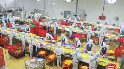 Bước đột phá về công nghiệp chế biến