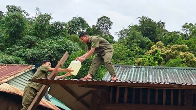Military Region 5 prepares forces to prevent and fight storm No. 10