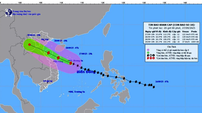 Storm No. 10 is at level 12, gusting to level 15, only 460km from Da Nang.