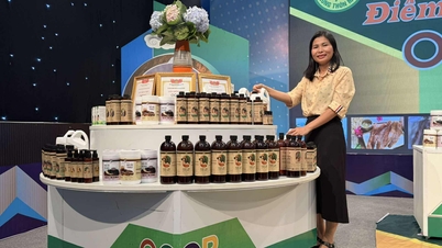 Tân Mỹ: Tập trung nguồn lực xây dựng nông thôn mới