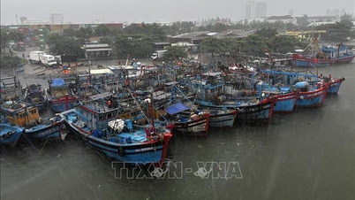 ទីក្រុង Da Nang ហាមប្រាមប្រជាជនមិនឱ្យស្នាក់នៅលើទ្រុងវារីវប្បកម្ម។