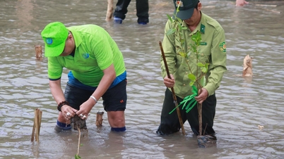 Ca Mau lancar kempen penanaman bakau, bina 'Destinasi Hijau'
