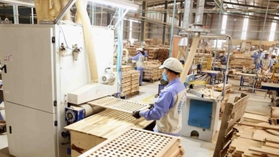 The US imposes a 50% tax on a $14 billion export item in Vietnam.