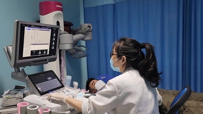Desarrollo de recursos humanos: la clave de la medicina especializada
