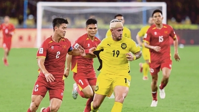 VFF äußert sich, als der Appell des malaysischen Fußballverbands an die FIFA scheitert