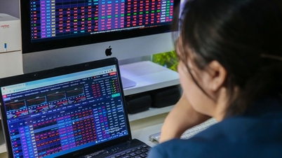 VN-Index continues to fluctuate, stock investors suffer heavy losses