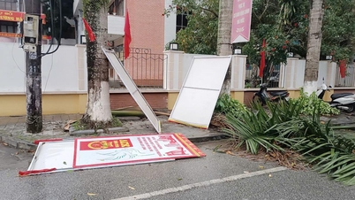 Storms broke electric poles and trees in Ha Giang wards 1 and 2.