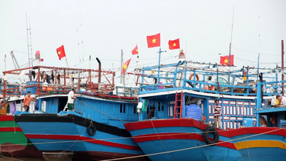 Responding to storm No. 10: 100% of ships and boats have entered safe shelters
