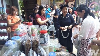 Membuka jalan keluar dari kemiskinan yang berkelanjutan