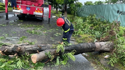 Menyelamat tepat pada masanya 6 orang terperangkap oleh pokok tumbang menghempap ​​sebuah kereta