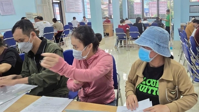 Thu thập thông tin lao động của hơn 400 doanh nghiệp để kết nối cung cầu