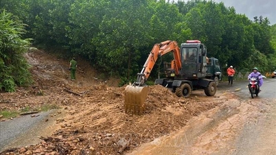 Responding to Storm No. 10: Warning of high risk of landslides in Da Nang