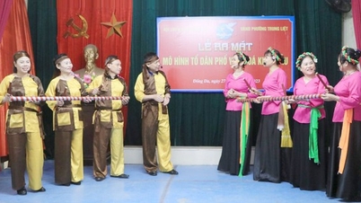 Organizing the Festival of typical cultural villages and residential groups in Hanoi city, 2025
