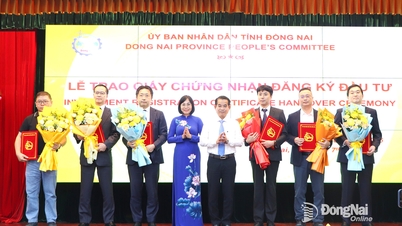 Dong Nai - a bright spot in attracting FDI investment