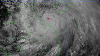 (Live) Storm Bualoi met windstoten van niveau 15 aan de kust van Nghe An-Quang Tri, die op 29 september rond 01.00 uur aan land kwam