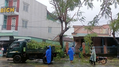 Thang Binh « 4 sur place », « 3 prêts » pour affronter la tempête numéro 10