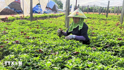 ອອກລະບຽບການໃໝ່ກ່ຽວກັບກອງທຶນສະໜັບສະໜູນການພັດທະນາສະຫະກອນ