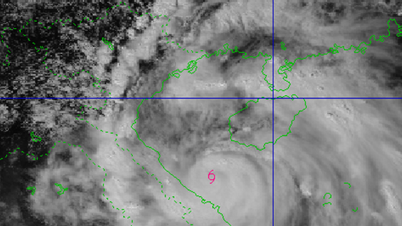 Urgent storm news at 2:00 p.m.: Storm No. 10 BUALOI, level 12, gusts of level 15, is heading towards Nghe An - northern Quang Tri.