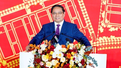 Prime Minister hopes to soon complete the LNG Thermal Power Plant in Hai Phong