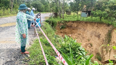 Tanah runtuh di jalan gunung di Da Nang, orang hilang semasa mencari sarang lebah di hutan