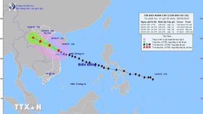 When will storm number 10 weaken into a tropical depression?