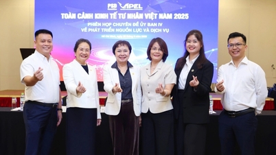 គណៈកម្មាធិការ ViPEL ទី៤៖ ផ្តល់អាទិភាពដល់គម្រោងនៅជិតមនុស្ស បង្កើតសុភមង្គលសម្រាប់សហគមន៍