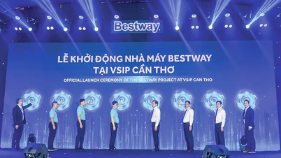 VSIP Can Tho Industrial Park promises to welcome a new wave of investment for the Mekong Delta
