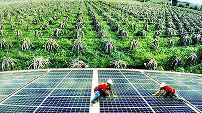 Using energy economically and efficiently: Expectations from the new legal corridor