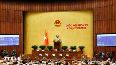 Implementing the Law amending and supplementing the Law on Technical Standards and Regulations