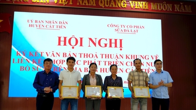Tran Huy Rin - a pioneer in getting rich from dairy farming in Cat Tien