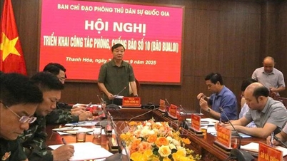 Visestatsminister Tran Hong Ha ledet et møte for å iverksette arbeidet med å forebygge og kontrollere stormer.