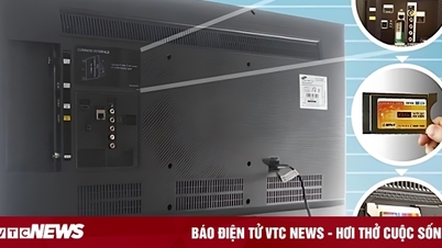 De viktigste portene en smart-TV bør ha