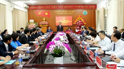 Minister of Education and Training works at Tay Bac University