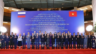Čtvrté zasedání Meziparlamentního výboru pro spolupráci mezi Vietnamským národním shromážděním a Ruskou státní dumou