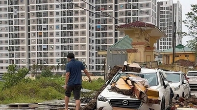 Kinh nghiệm đỗ xe ô tô an toàn ở vùng trũng thấp khi có mưa bão
