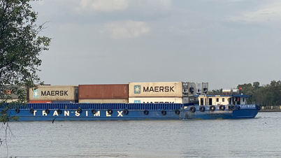 Vietnam - Singapore connection opens the way for small and medium enterprises