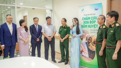 មន្ទីរពេទ្យយោធភូមិភាគ ១៧៥ បានបើកដំណើរការមជ្ឈមណ្ឌលបណ្តុះបណ្តាលកាយសម្ព័ន្ធ ម៉ាស្សា និងចាក់ម្ជុលវិទ្យាសាស្ត្រ