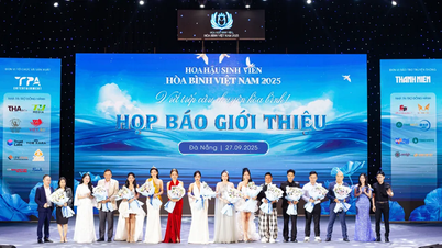 Khởi động cuộc thi Hoa hậu Sinh viên Hòa bình Việt Nam 2025