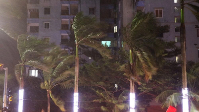 (Trực tiếp) Bão số 10 (Bualoi) khiến 1 người chết, 4 người mất tích, sắp đổ bộ vào đất liền đêm nay