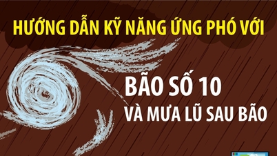 Instructions on skills to cope with storm No. 10 and floods after the storm