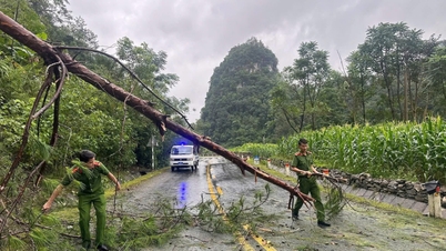 The impact of storm No. 10's circulation caused damage to housing, agriculture and traffic in the province - Cao Bang Electronic Newspaper