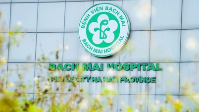 Case at Bach Mai Hospital and Viet Duc Hospital, Branch 2: Prosecution of 2 more defendants