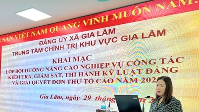 Gia Lam Commune: 209 students attend training class on Party work