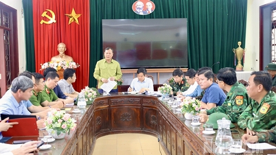 Chairman of the Provincial People's Council Le Quoc Chinh and Chairman of the Provincial People's Committee Pham Quang Ngoc inspected and directed the overcoming of consequences of storm No. 10.