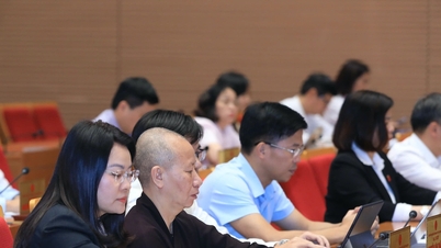 Hanoi is about to establish a venture capital fund.