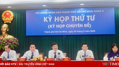 ក្រុមប្រឹក្សាប្រជាជនទីក្រុងហូជីមិញបានបើកកិច្ចប្រជុំពិសេសមួយដើម្បីដោះស្រាយបញ្ហាក្រោយការច្របាច់បញ្ចូលគ្នា។