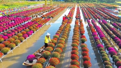 'Flower capital' Sa Dec in season