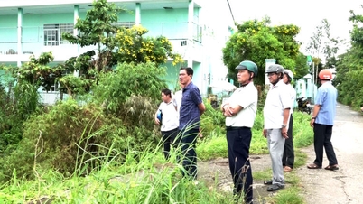 Tinh Bien Ward proactively responds to storms and floods and protects the summer-autumn rice crop in 2025